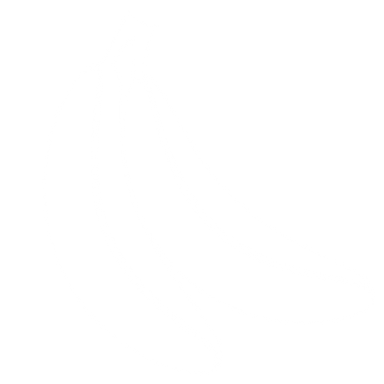 Bananas