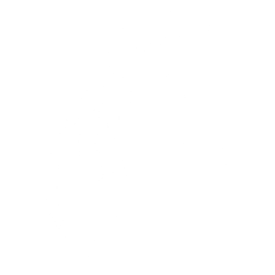 Cocoa
